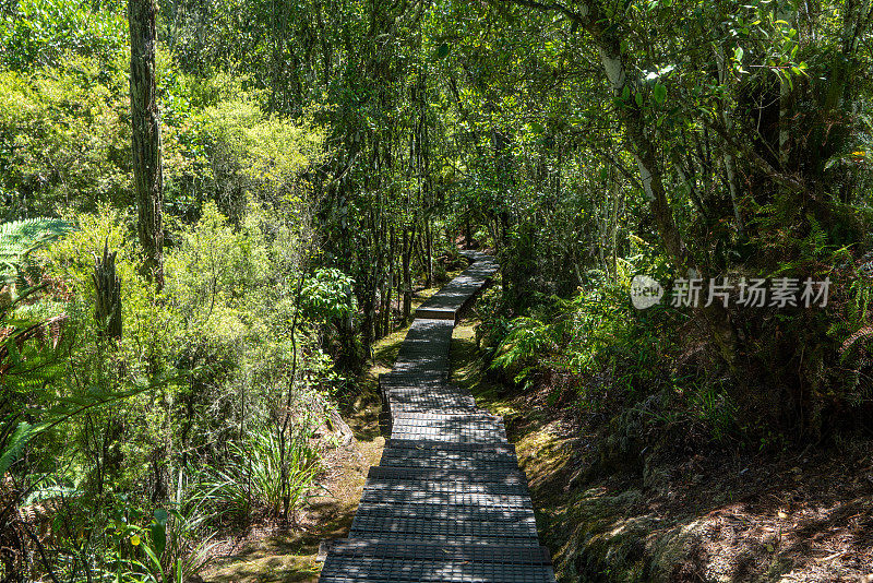 新西兰陶波隐谷的Orakei Korako地热公园和洞穴木板路